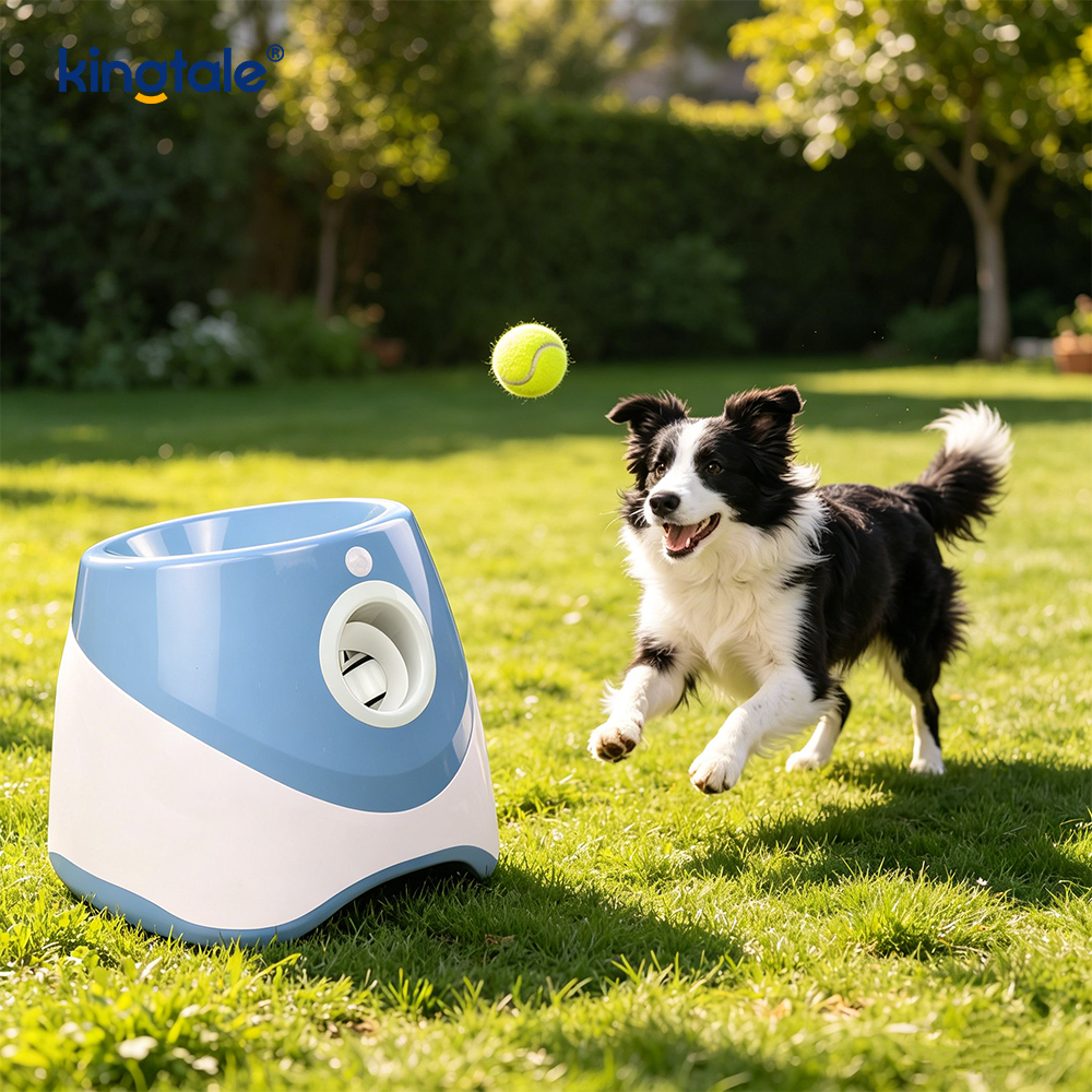 Automatischer Ballwerfer mit 3 Mini-Tennisbällen, Hundespielzeug für den Außenbereich