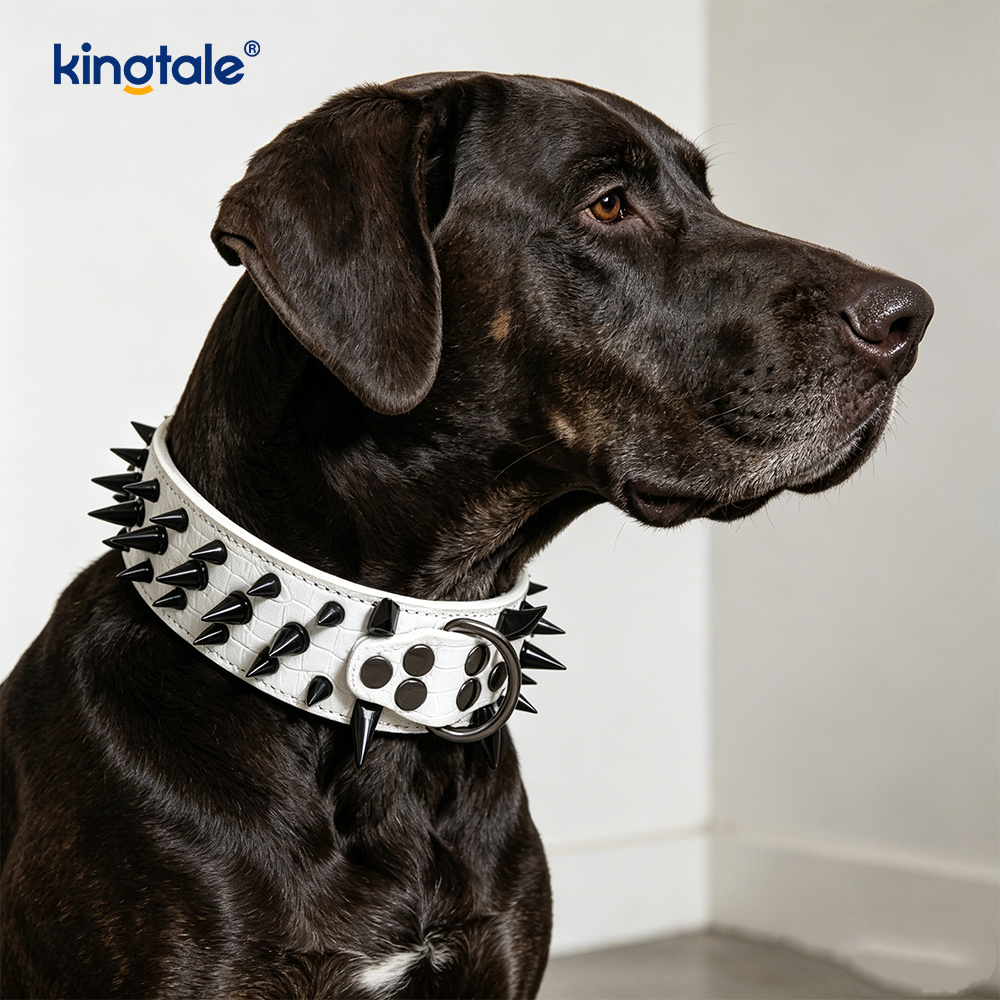 Scharfes Hundehalsband mit Spikes und Nieten. Stilvolle Hundehalsbänder aus Leder