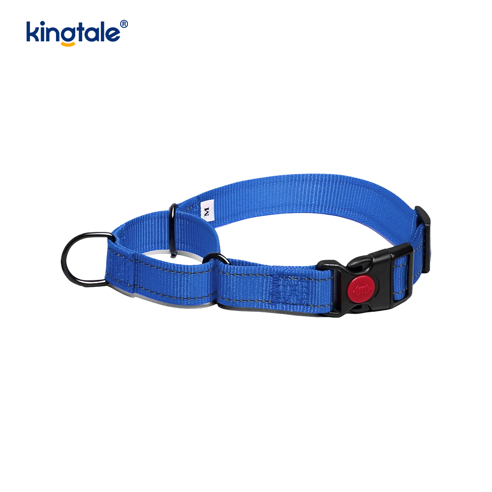 Reflektierendes, verstellbares Nylon-Martingale-Hundehalsband mit Schnellverschluss, kein Ziehen