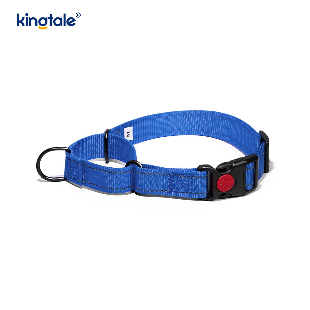 Reflektierendes, verstellbares Nylon-Martingale-Hundehalsband mit Schnellverschluss, kein Ziehen