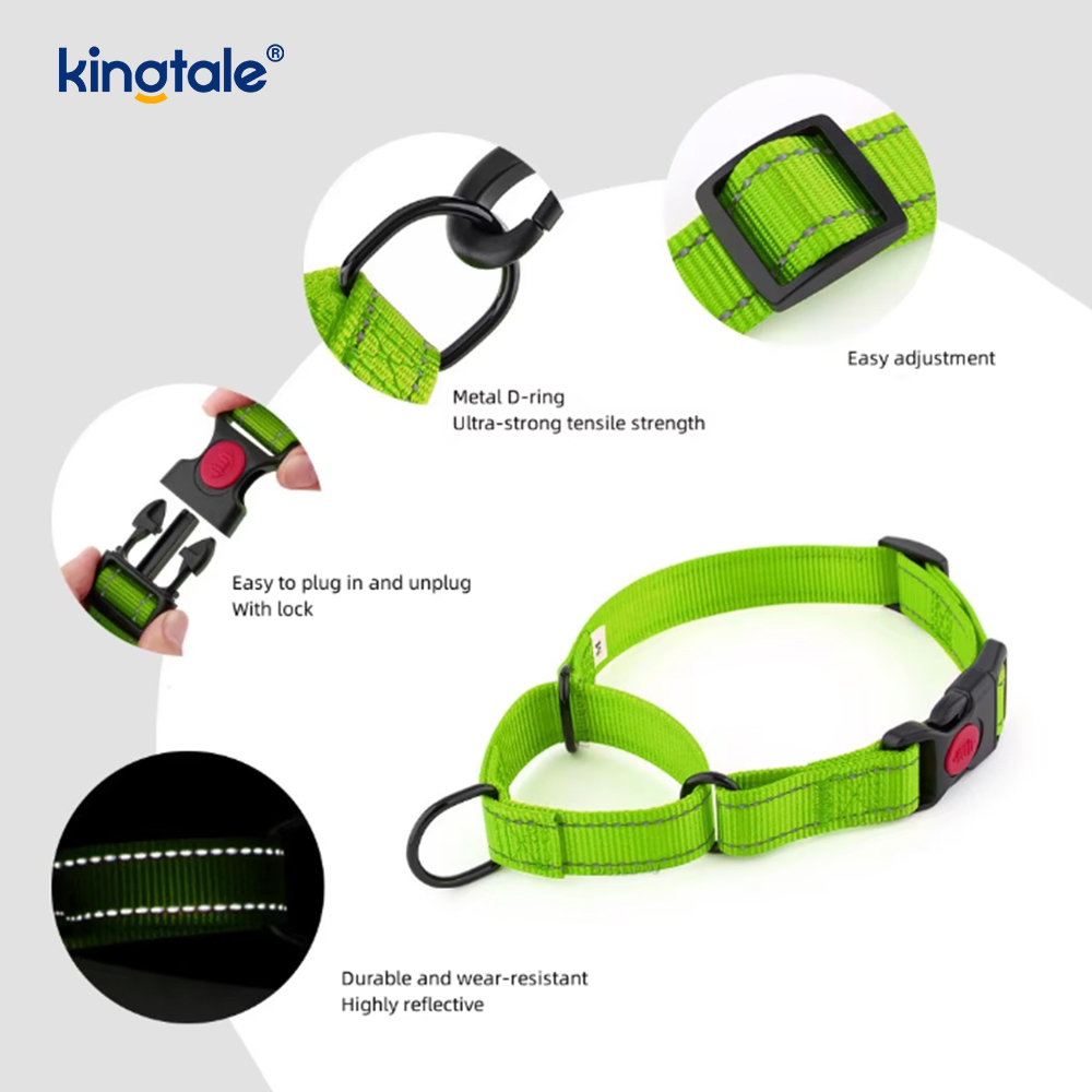 Reflektierendes, verstellbares Nylon-Martingale-Hundehalsband mit Schnellverschluss, kein Ziehen