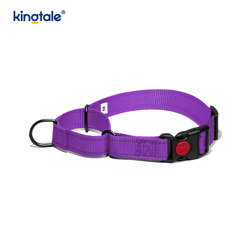 Reflektierendes, verstellbares Nylon-Martingale-Hundehalsband mit Schnellverschluss, kein Ziehen