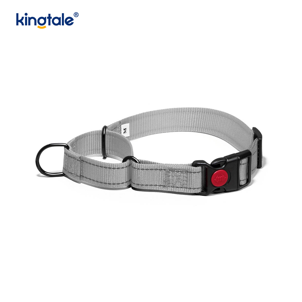 Reflektierendes, verstellbares Nylon-Martingale-Hundehalsband mit Schnellverschluss, kein Ziehen