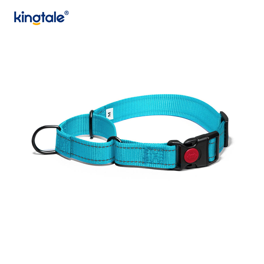 Reflektierendes, verstellbares Nylon-Martingale-Hundehalsband mit Schnellverschluss, kein Ziehen