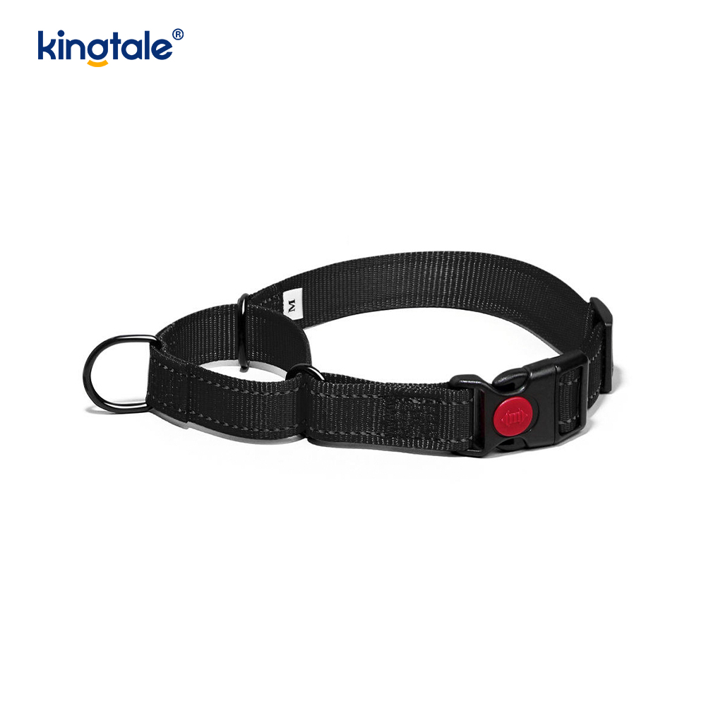 Reflektierendes, verstellbares Nylon-Martingale-Hundehalsband mit Schnellverschluss, kein Ziehen