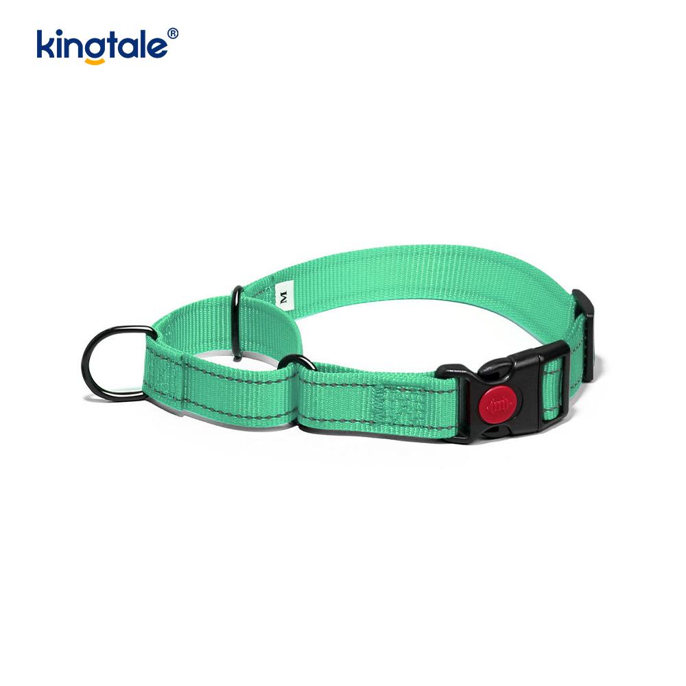 Reflektierendes, verstellbares Nylon-Martingale-Hundehalsband mit Schnellverschluss, kein Ziehen
