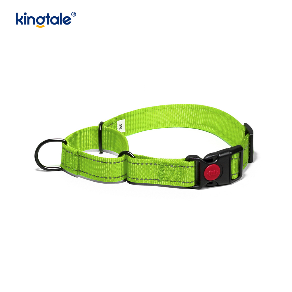 Reflektierendes, verstellbares Nylon-Martingale-Hundehalsband mit Schnellverschluss, kein Ziehen
