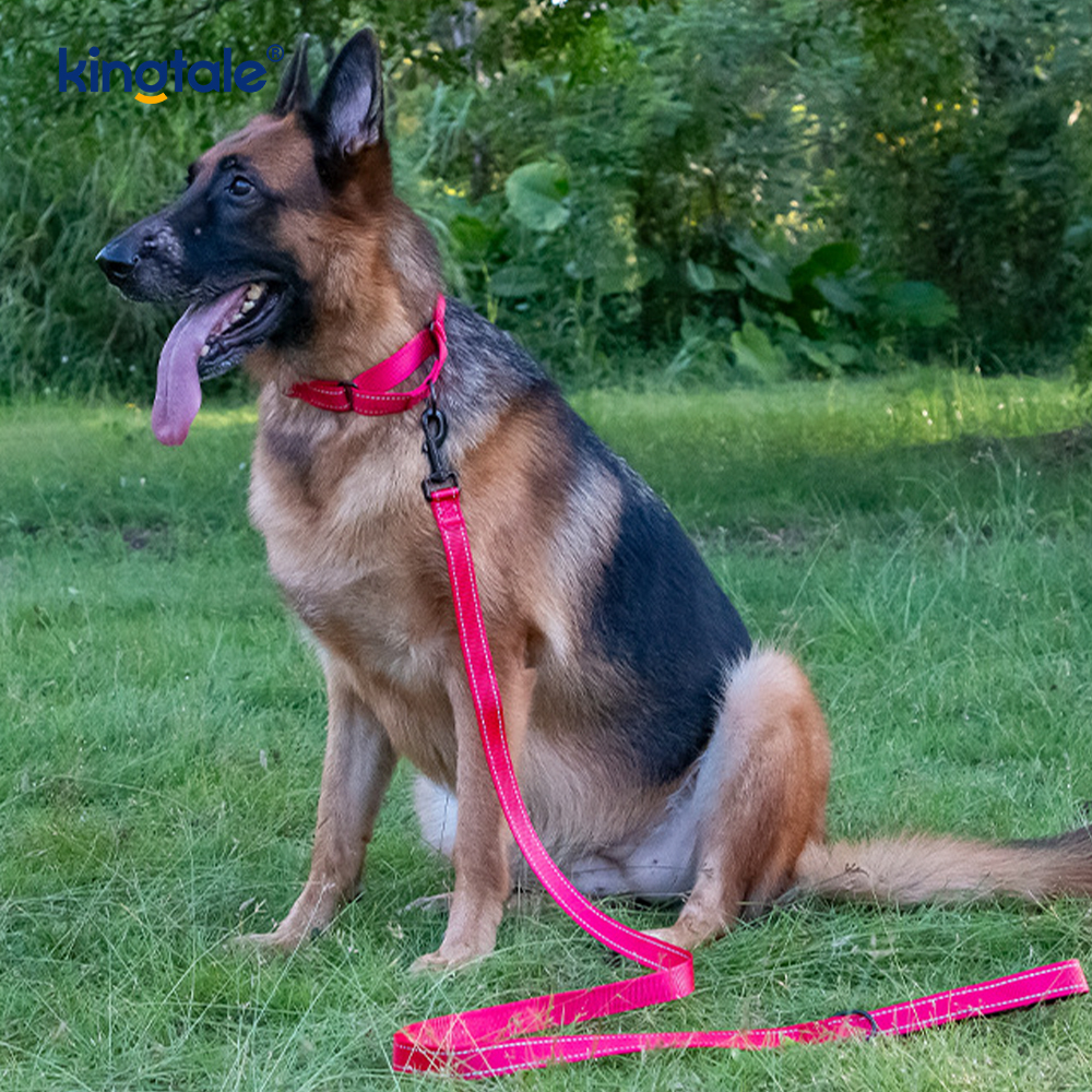 Reflektierendes, verstellbares Nylon-Martingale-Hundehalsband mit Schnellverschluss, kein Ziehen
