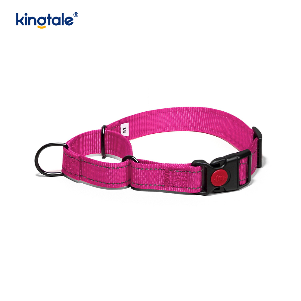 Reflektierendes, verstellbares Nylon-Martingale-Hundehalsband mit Schnellverschluss, kein Ziehen