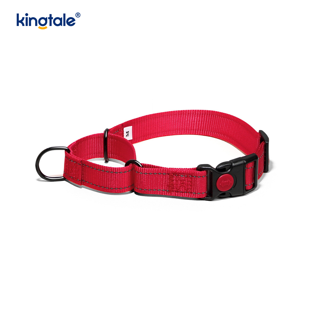 Reflektierendes, verstellbares Nylon-Martingale-Hundehalsband mit Schnellverschluss, kein Ziehen