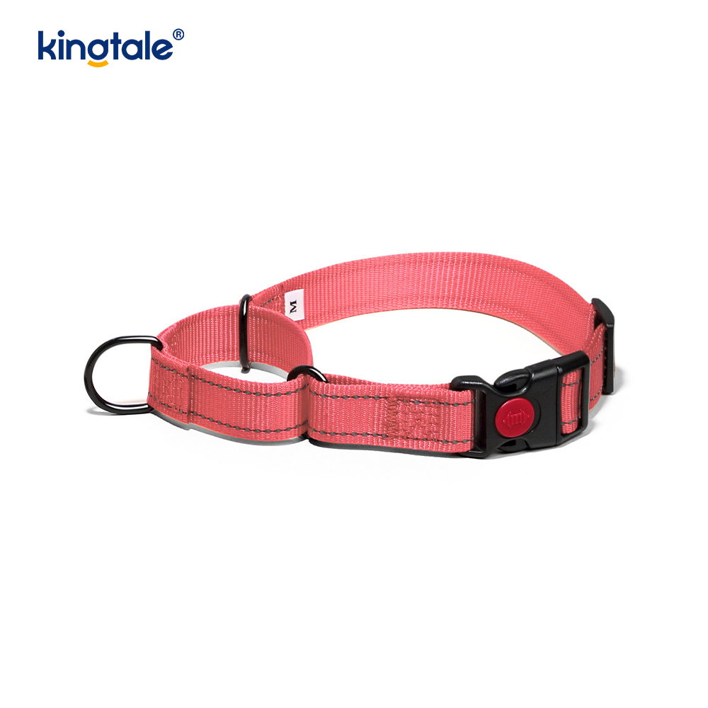 Reflektierendes, verstellbares Nylon-Martingale-Hundehalsband mit Schnellverschluss, kein Ziehen