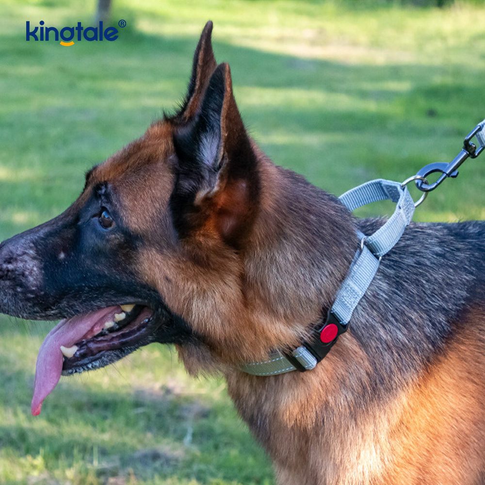 Reflektierendes, verstellbares Nylon-Martingale-Hundehalsband mit Schnellverschluss, kein Ziehen