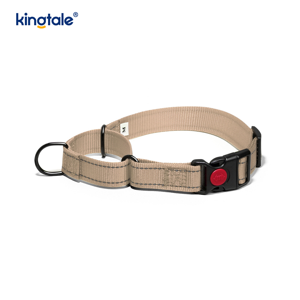Reflektierendes, verstellbares Nylon-Martingale-Hundehalsband mit Schnellverschluss, kein Ziehen