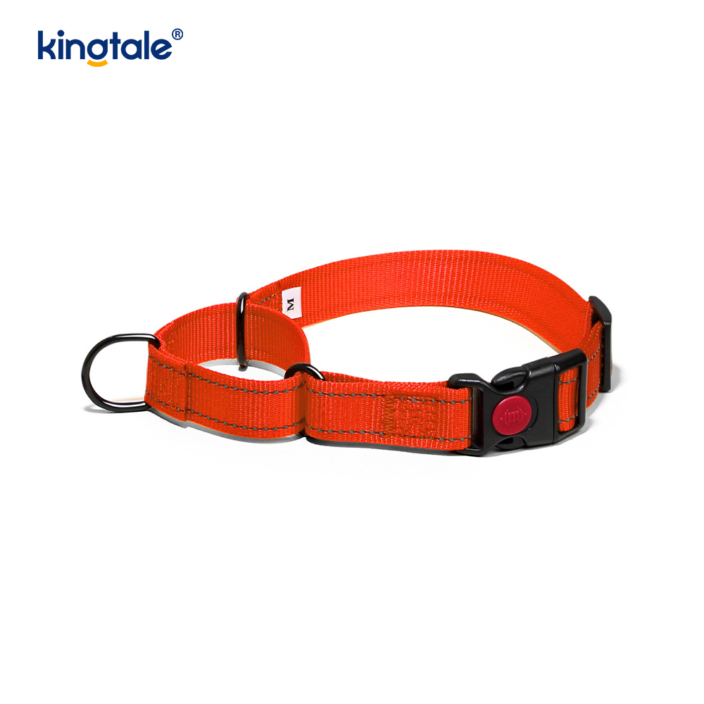 Reflektierendes, verstellbares Nylon-Martingale-Hundehalsband mit Schnellverschluss, kein Ziehen