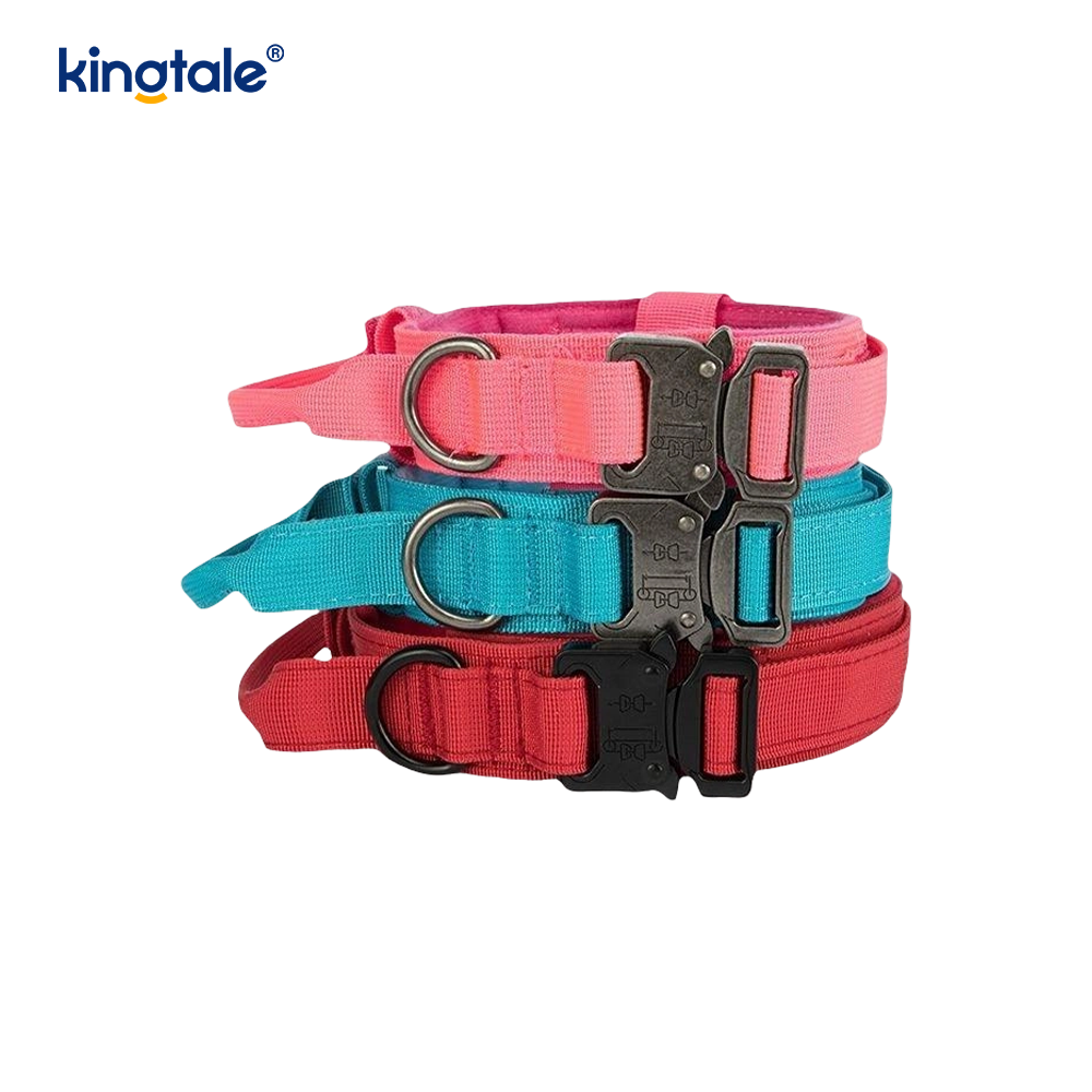 CutsomTraining Halsband mit Nylon-Kontrollgriff und Metallschnalle