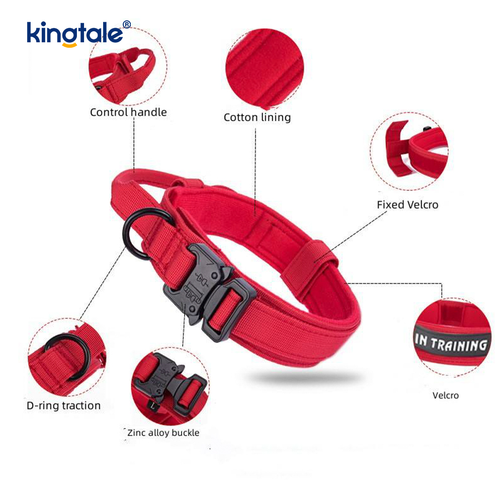 CutsomTraining Halsband mit Nylon-Kontrollgriff und Metallschnalle