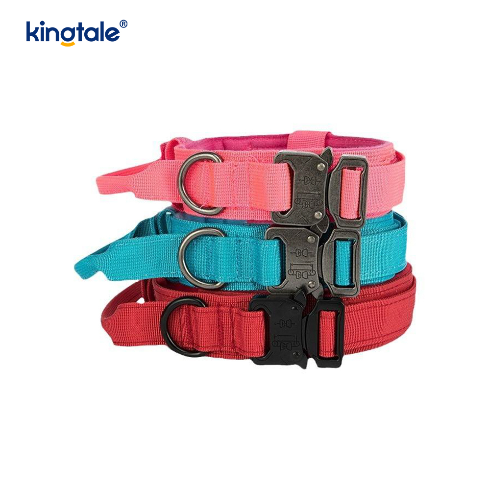 CutsomTraining Halsband mit Nylon-Kontrollgriff und Metallschnalle
