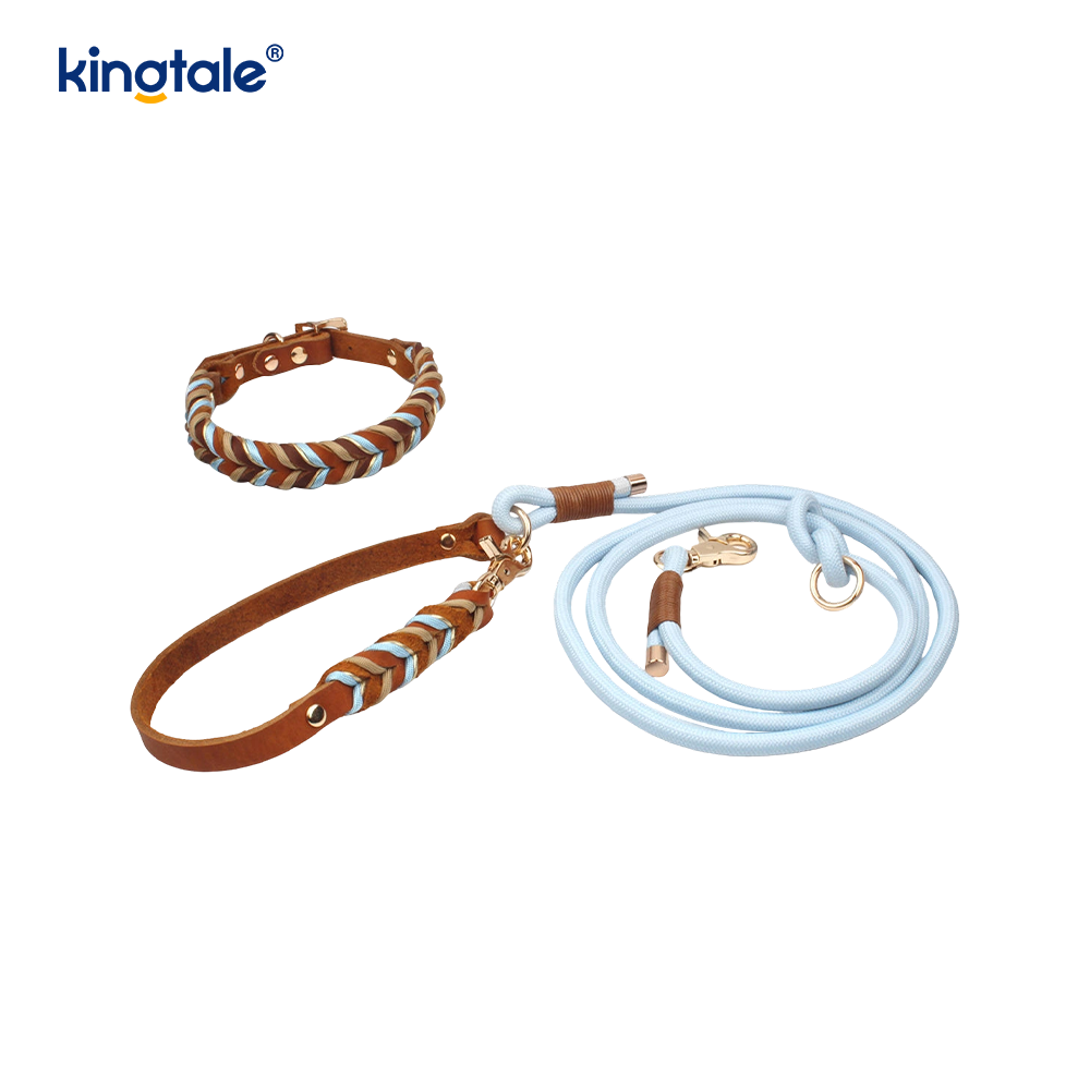 Weiches und langlebiges Set aus Hundehalsband und Leine aus echtem Leder