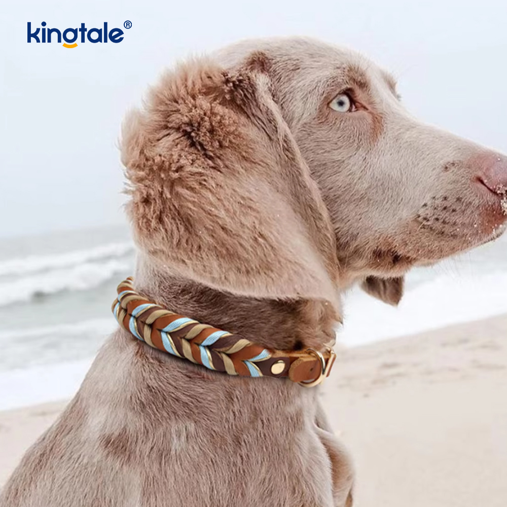 Weiches und langlebiges Set aus Hundehalsband und Leine aus echtem Leder
