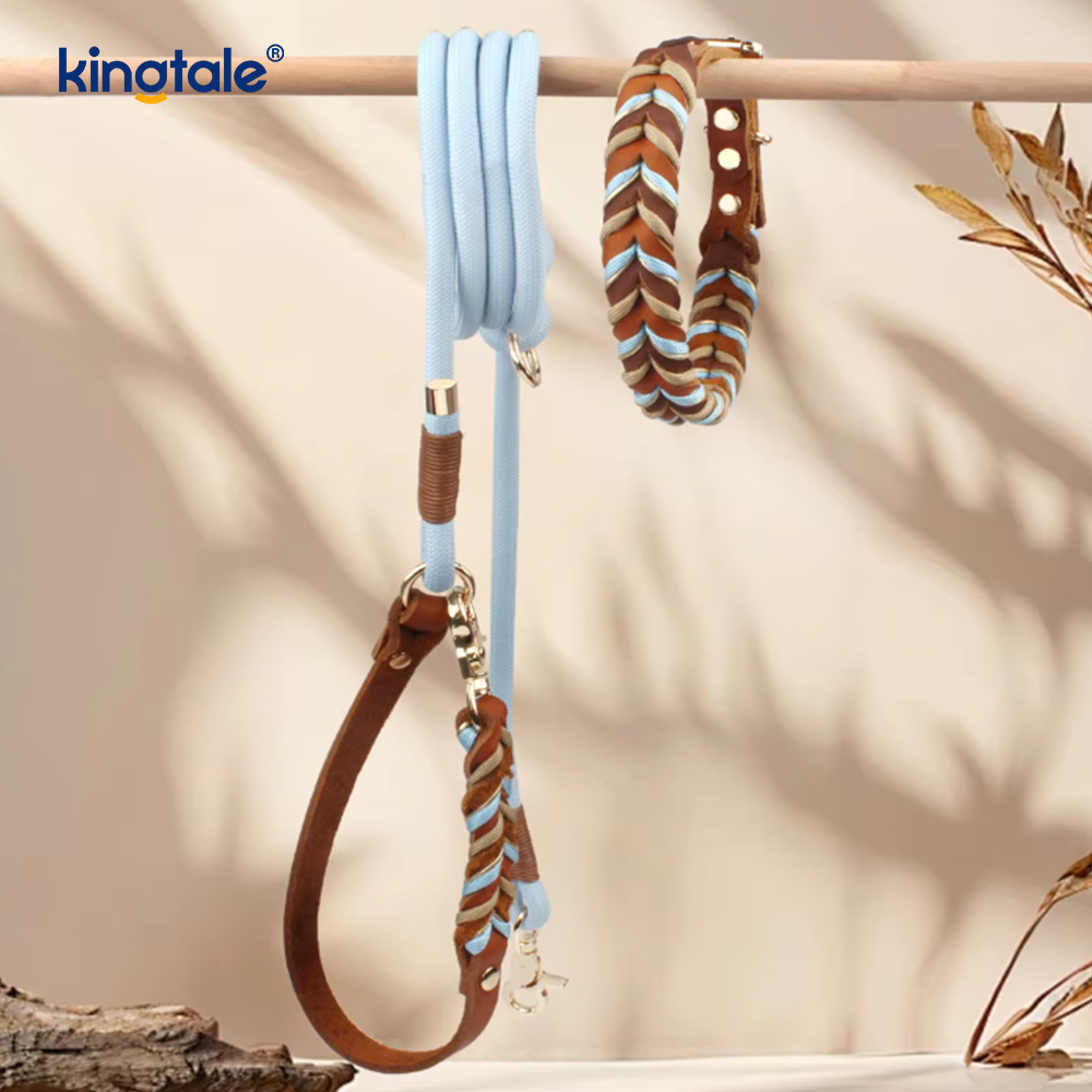 Weiches und langlebiges Set aus Hundehalsband und Leine aus echtem Leder