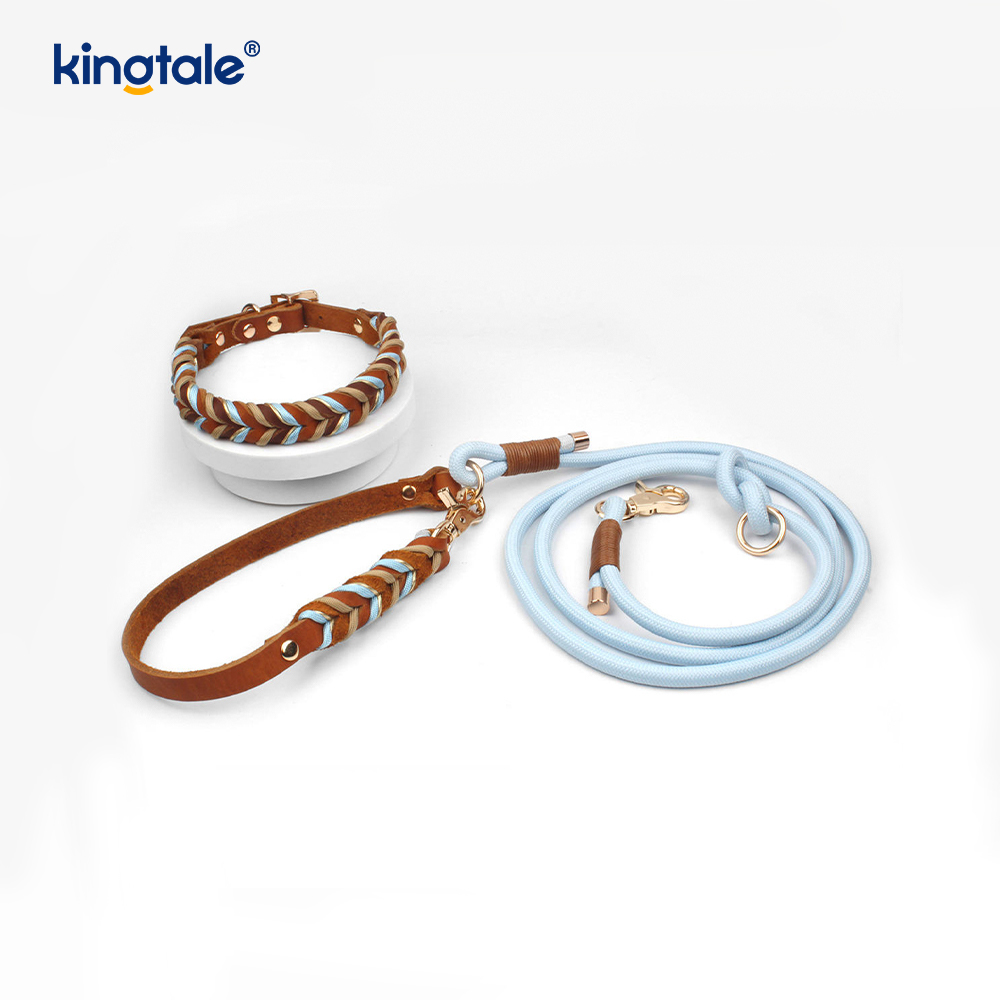 Weiches und langlebiges Set aus Hundehalsband und Leine aus echtem Leder