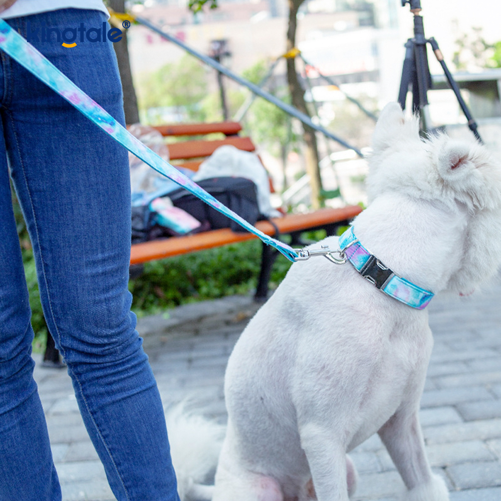 Verträumtes Sternenhimmel-Haustierhalsband im Amazon-Stil mit Hundehalsband und Leine