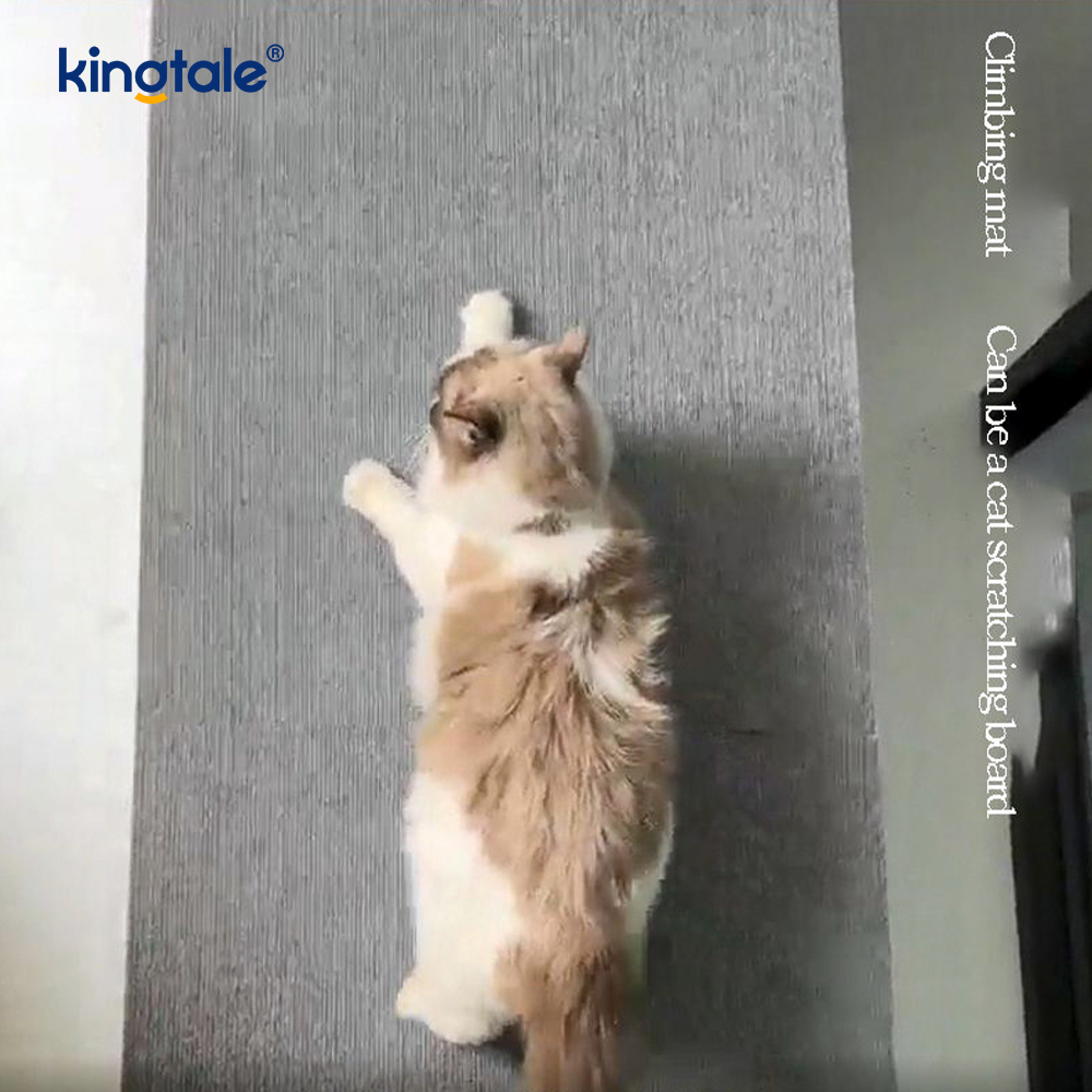 Selbstklebender Kratzteppich für Katzen zum Schutz von Ersatzpolstern und Möbeln