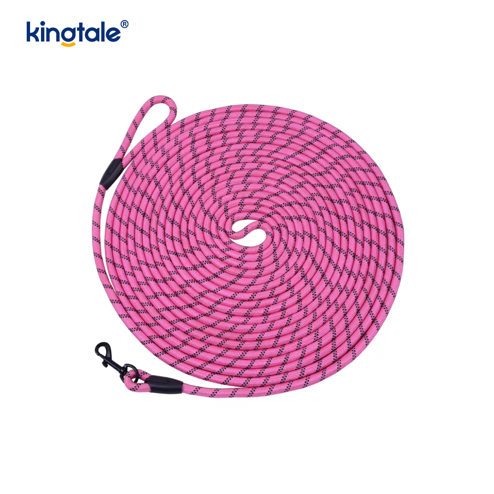 Reflektierende Hundeleine aus Nylon mit modischem Aufdruck. Neue Ankunfts-Haustierleinen