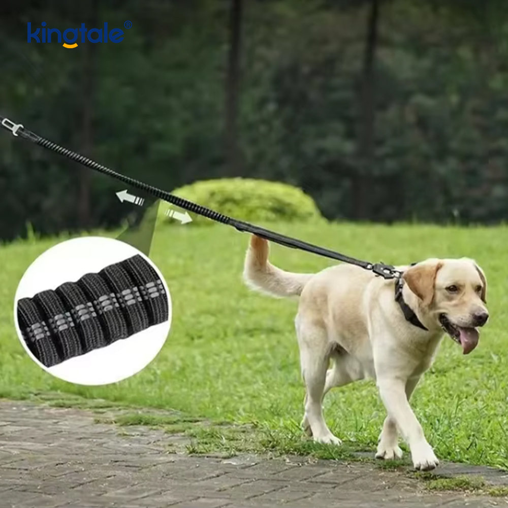Reflektierende Nylon-Sicherheitsleine, elastischer Puffer, fester Hunde-Autositz