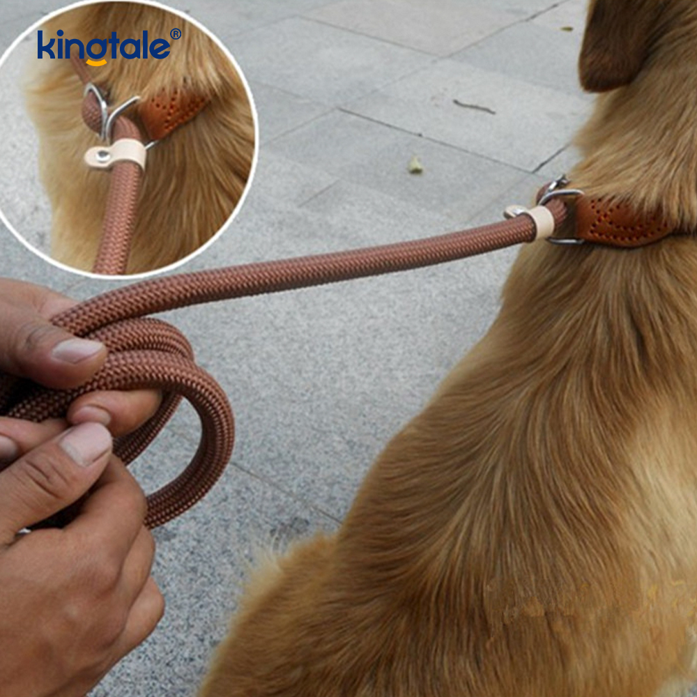 Anti-Pull-Extralange und dicke P-Leine für das Training von Hunden