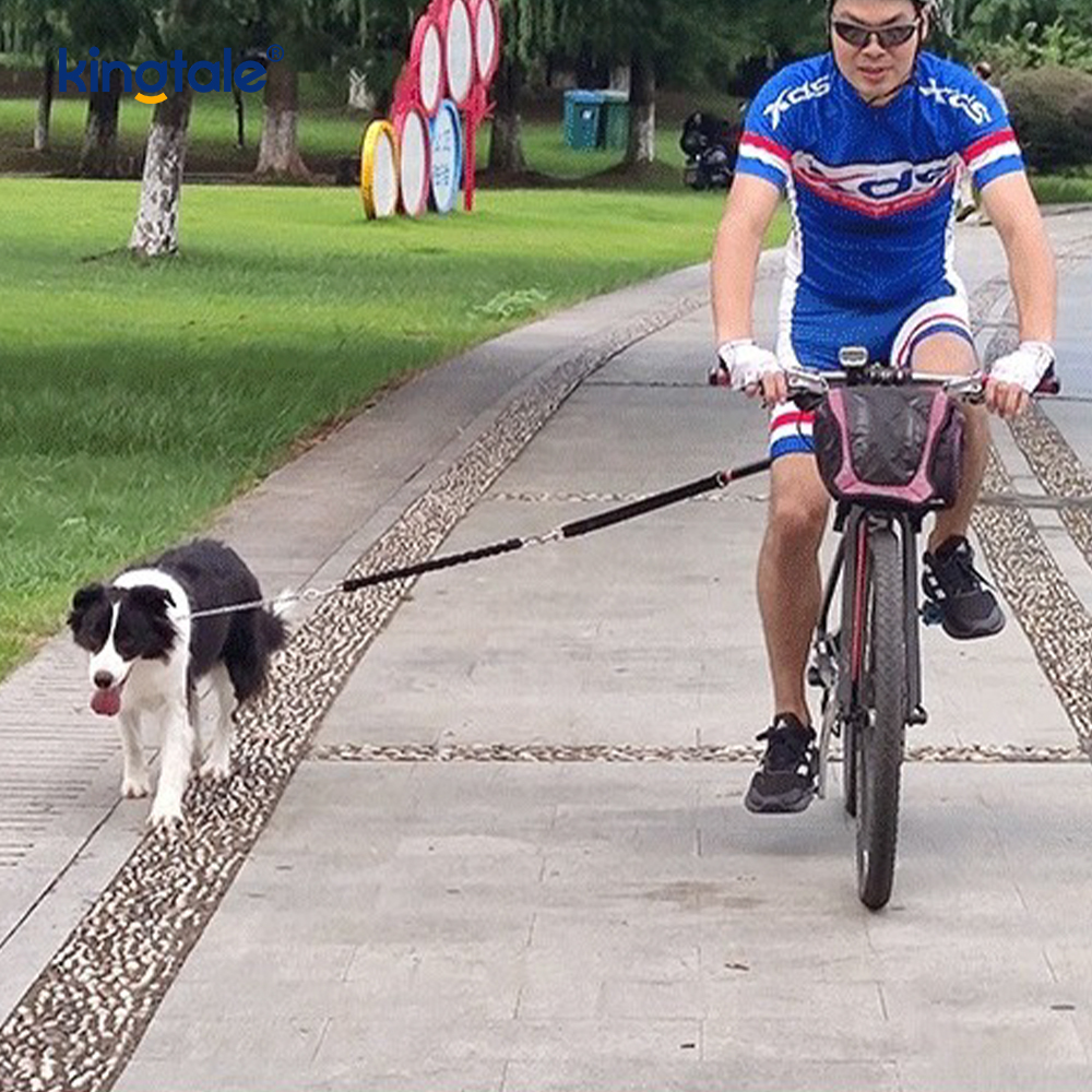 Fahrrad-Hundelein-Befestigung, freihändiges Radfahren, Zugseil für Hunde