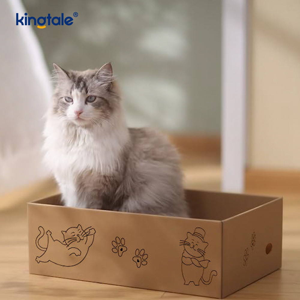 5 Packungen in 1 Katzenkratzpad mit Box, geeignet für Katzen