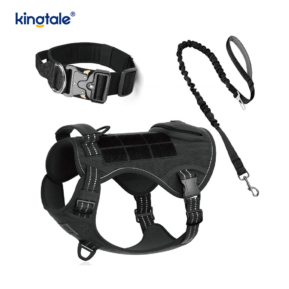 Trainings-Nylon-Kein-Zug-Hundehalsband-Leine-Geschirr-Set mit Kontrolle