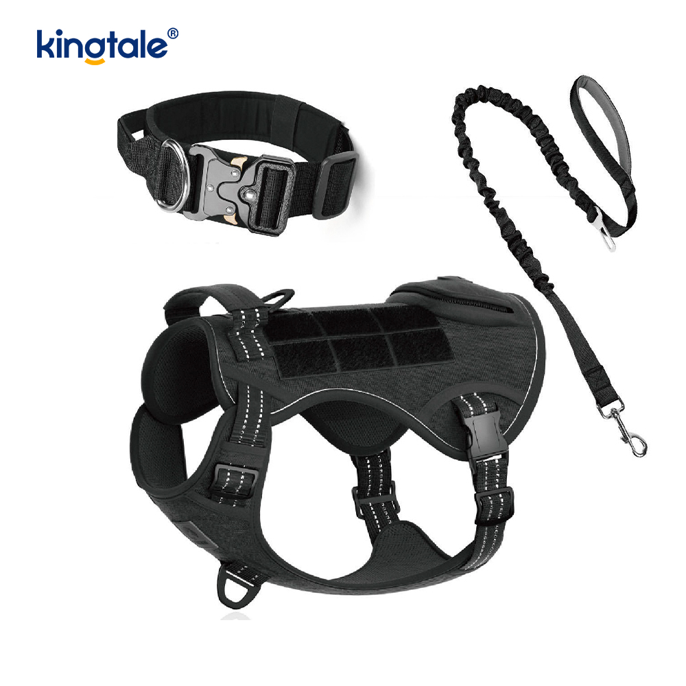 Trainings-Nylon-Kein-Zug-Hundehalsband-Leine-Geschirr-Set mit Kontrolle