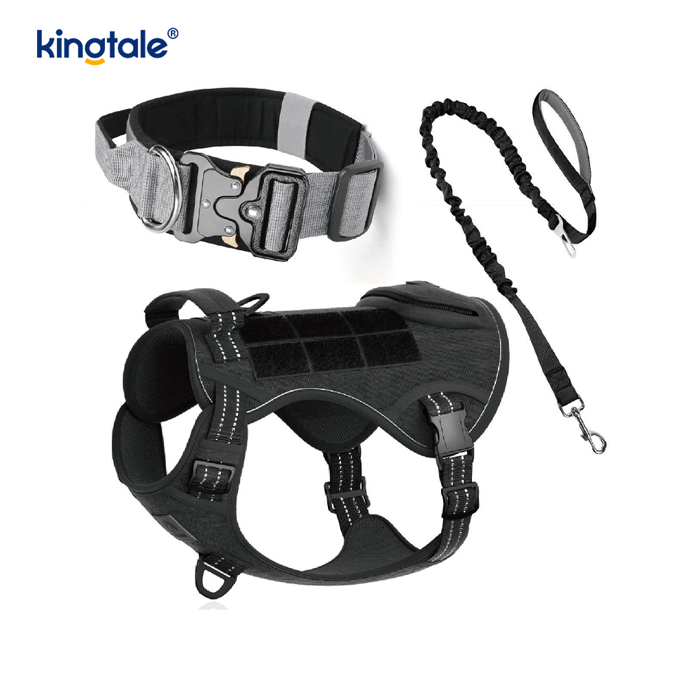 Trainings-Nylon-Kein-Zug-Hundehalsband-Leine-Geschirr-Set mit Kontrolle