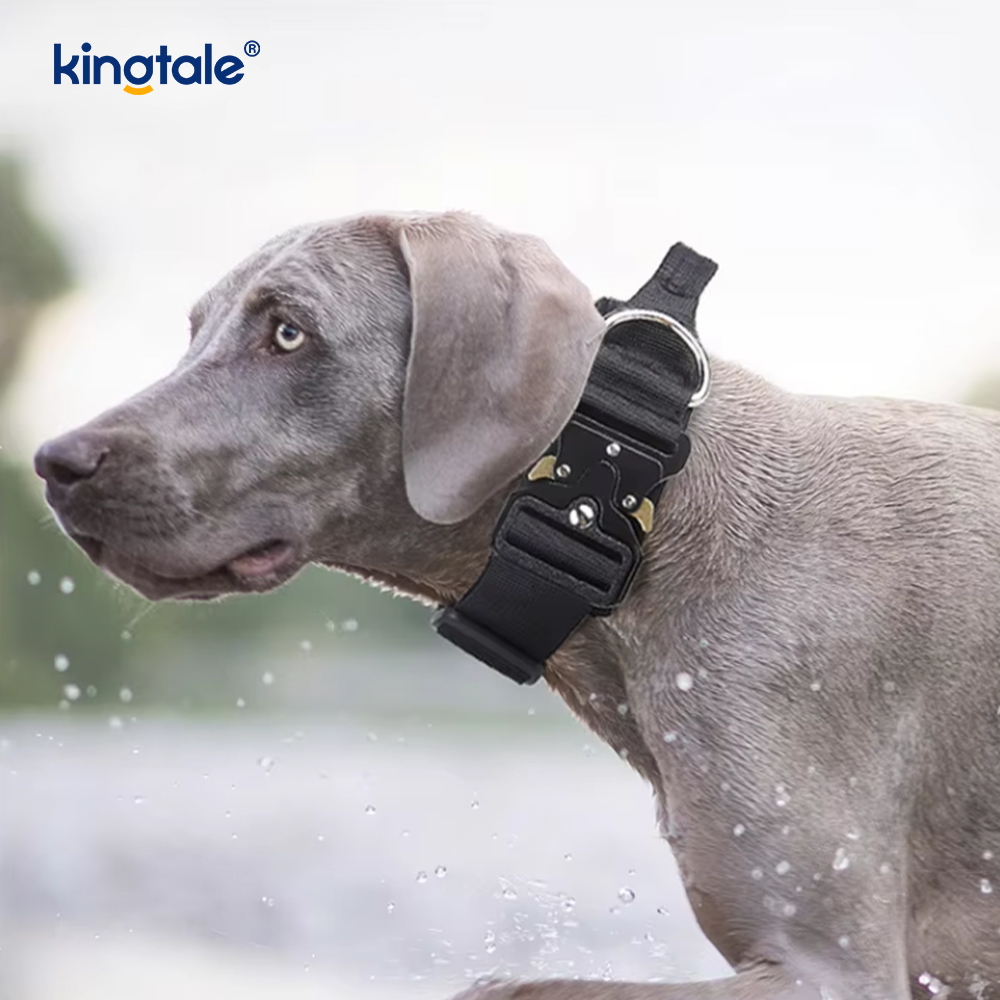 Trainings-Nylon-Kein-Zug-Hundehalsband-Leine-Geschirr-Set mit Kontrolle