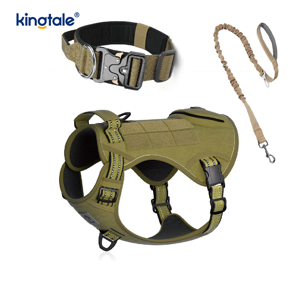 Trainings-Nylon-Kein-Zug-Hundehalsband-Leine-Geschirr-Set mit Kontrolle