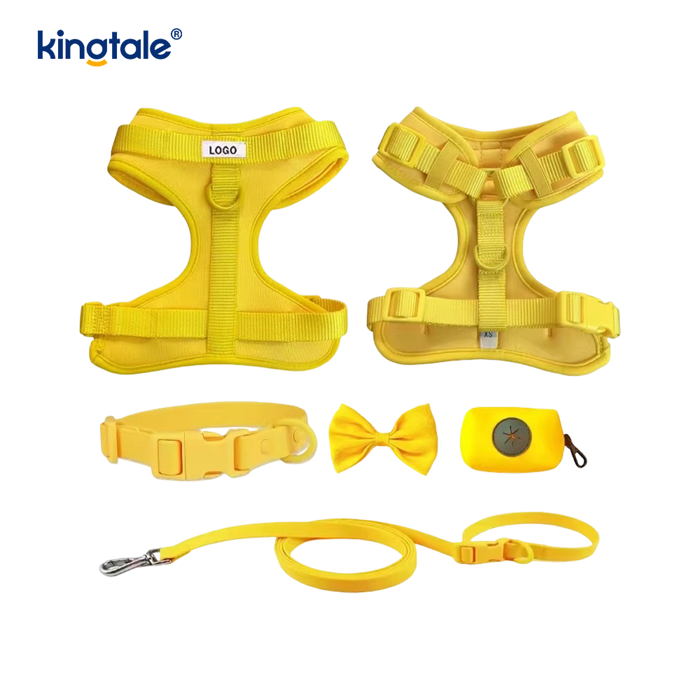 Wasserdichtes PVC, kein Ziehen, leichtes Hundegeschirr, Leine, Halsband