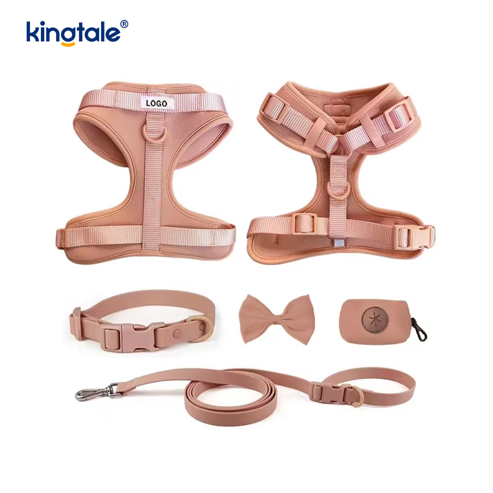 Wasserdichtes PVC, kein Ziehen, leichtes Hundegeschirr, Leine, Halsband