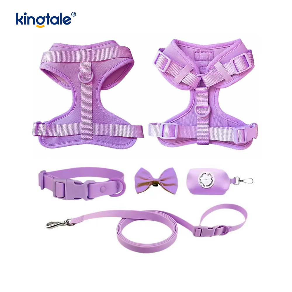 Wasserdichtes PVC, kein Ziehen, leichtes Hundegeschirr, Leine, Halsband