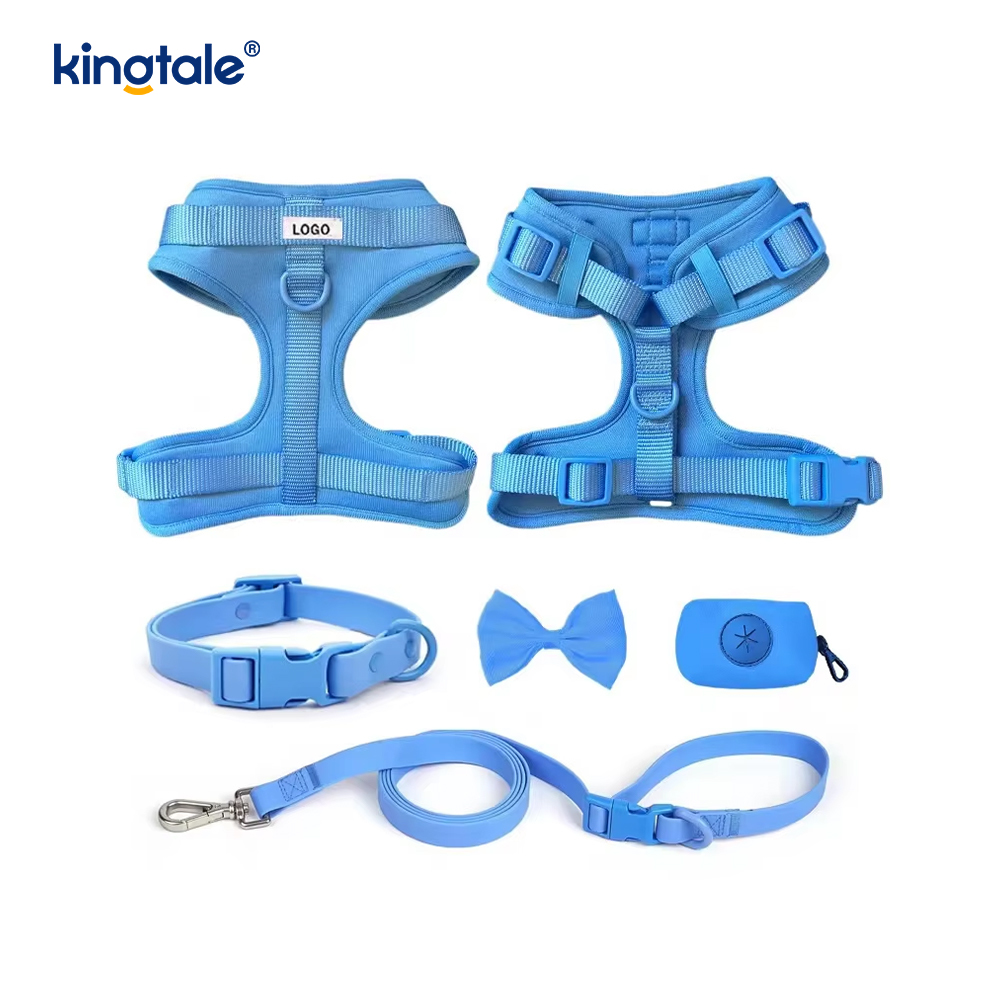 Wasserdichtes PVC, kein Ziehen, leichtes Hundegeschirr, Leine, Halsband