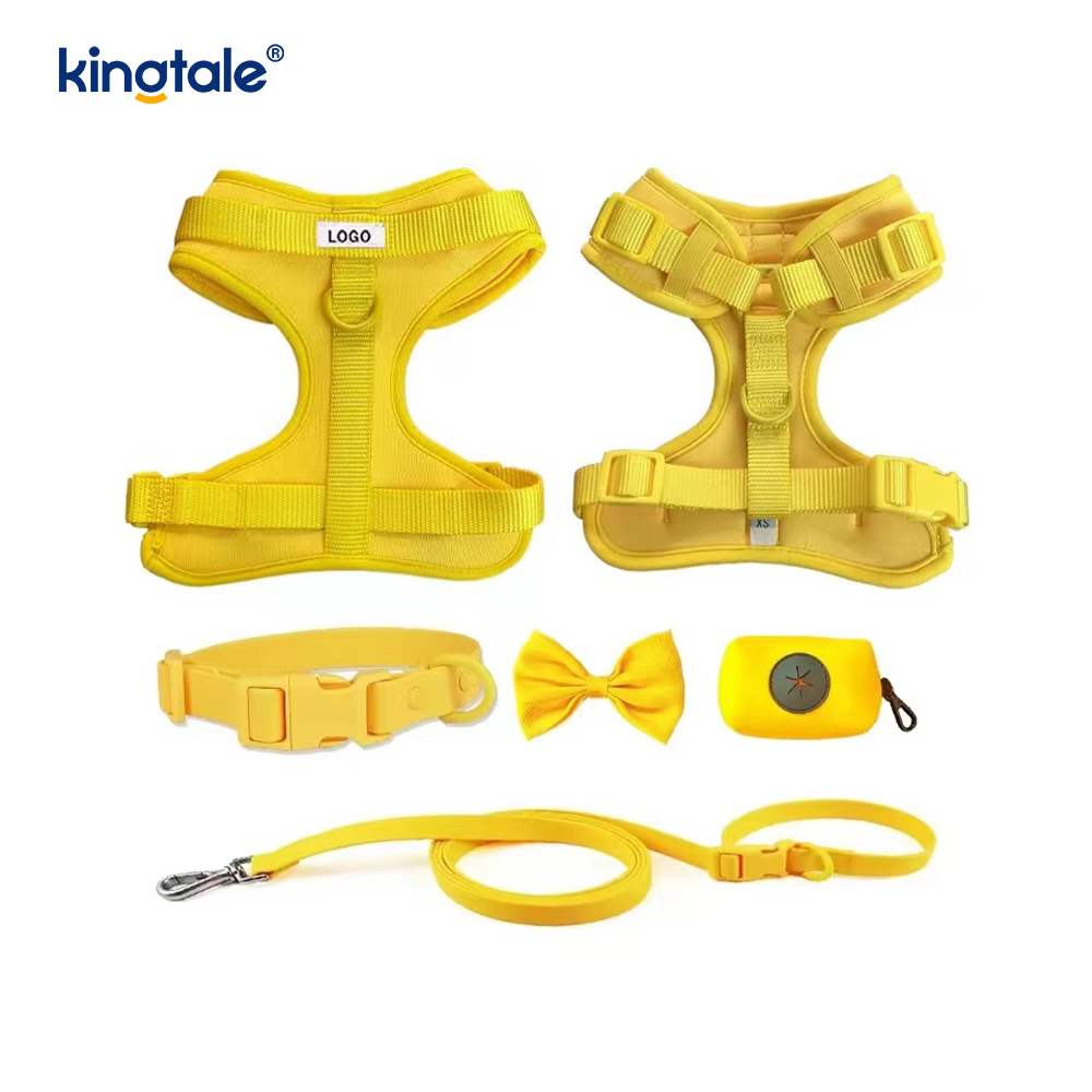 Wasserdichtes PVC, kein Ziehen, leichtes Hundegeschirr, Leine, Halsband