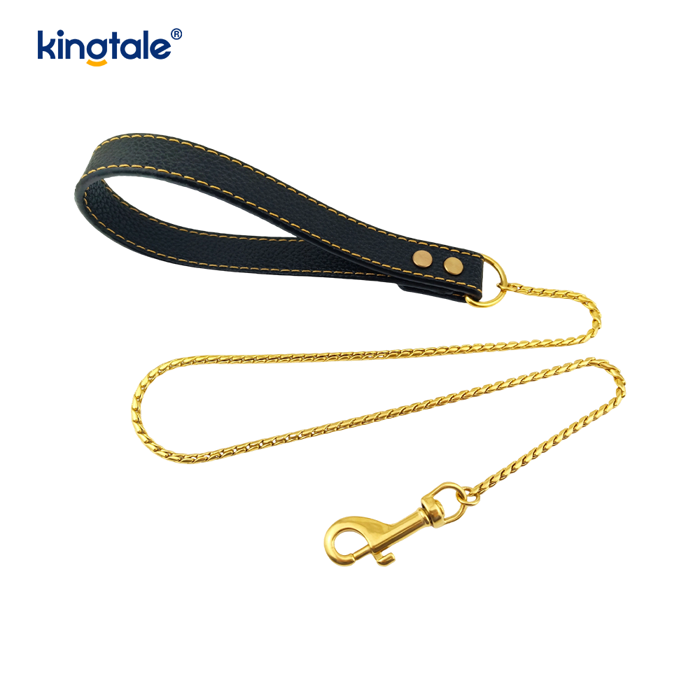 Strapazierfähige Hundeleine mit Kette aus Metall, mehrfarbig, für Hunde